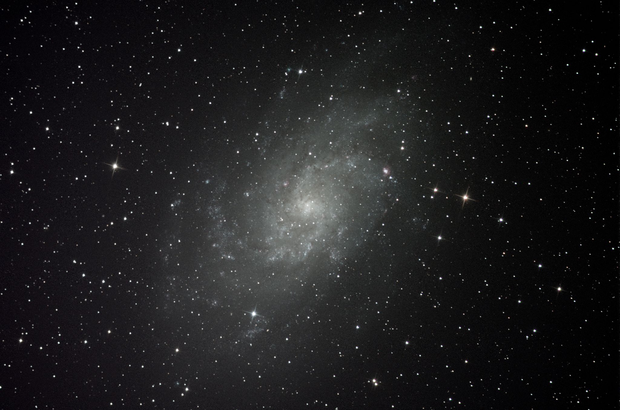 M33