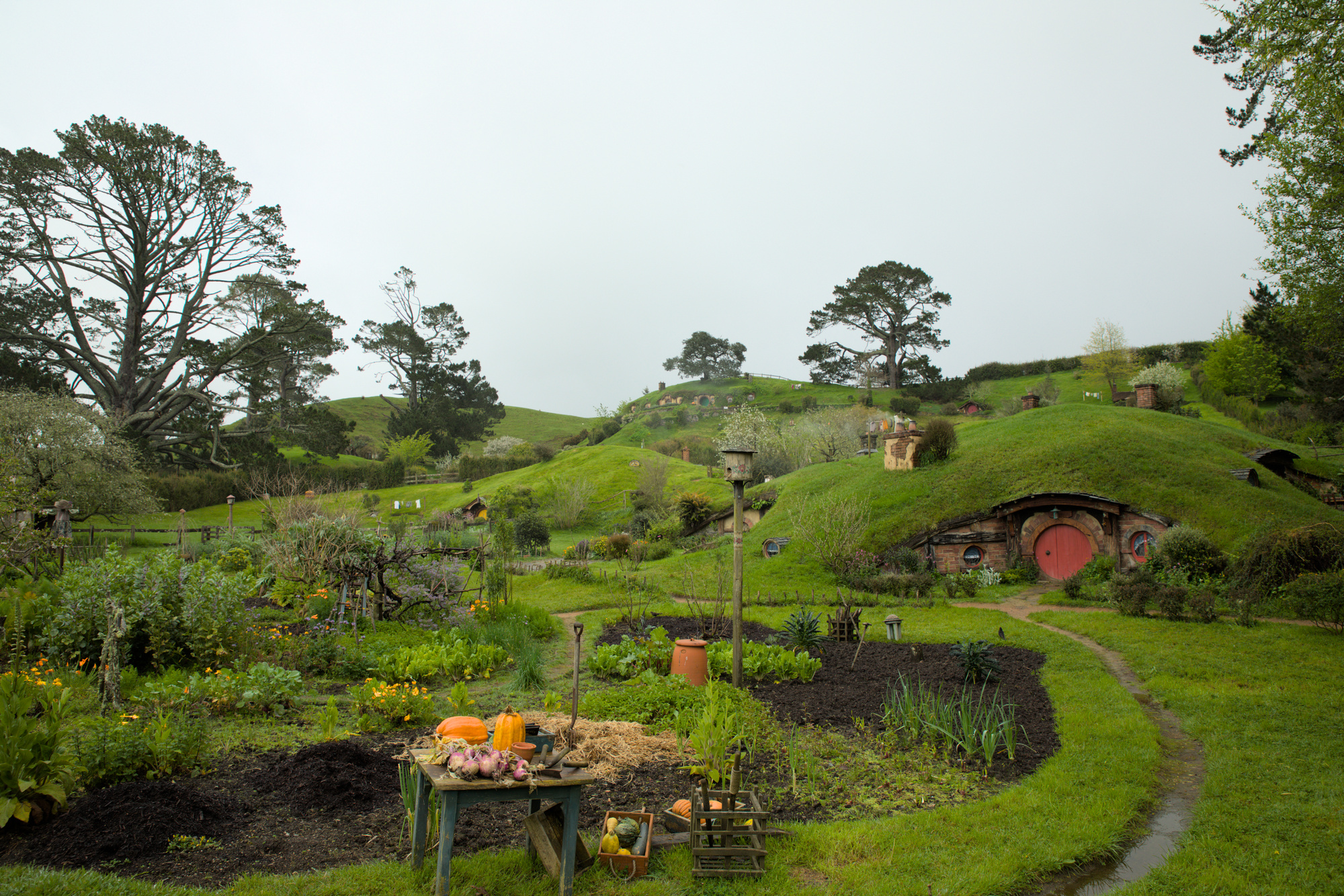 New Zealand